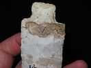 4 5/8” x 1 1/2” Etley Point, Union Co., IllinoisImage - 7