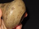 3” Quartz Pedestal or Pottery Trowel, Labeled as from Jersey Co., Illinois, but was in a Image - 5