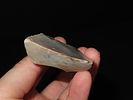 3 5/8” Danish Neolithic Axe from Denmark, Ex. J. Weston Smith, Ex. Henry DeweyImage - 7