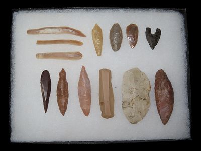 Lot of Neolithic Points and Artifacts from Fayum Lake Basin, Egypt, Paper Info Included