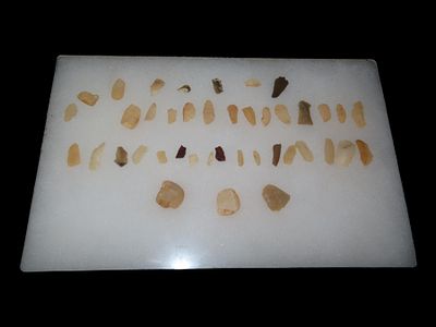 Lot of Neolithic Flint Artifacts from Norway, Papered Info Included in Lot, Ex. Dewey