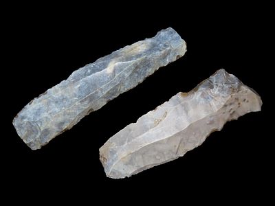 Danish Neolithic Blades, Erteb&oslash;lle Culture, Found in Aarhus, Denmark, Info Included, Ex. Dewey