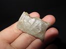 Lot of Two Heartbreakers, Dovetail and Beavertail, Found in Logan Co., Illinois, Ex. J. Weston SmithImage - 9