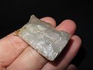 Lot of Two Heartbreakers, Dovetail and Beavertail, Found in Logan Co., Illinois, Ex. J. Weston SmithImage - 12