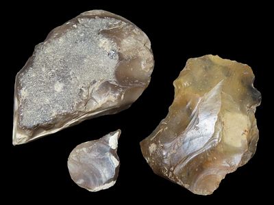 Mesolithic Inverted Scrapers, Found at Kelling Heath, North Coast Norfolk, England, Info Cards 