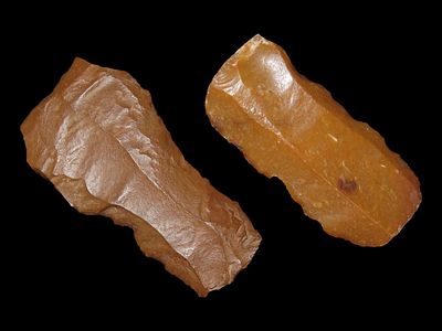 Neolithic Pressigny Blade from Vanderkeulen, Belgium, Info Included