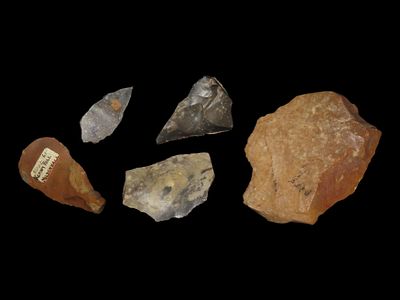 Lot of Neolithic Flint Tools, Blades and Scrapers from Europe, Info Cards Included