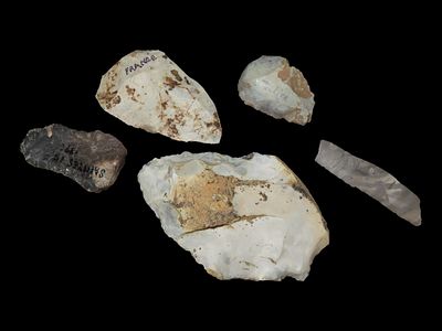 Lot of Neolithic Flint Tools, Blades and Scrapers from Europe, Info Cards Included