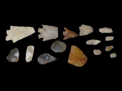 Microlithics and Flint Tools, Den of Boddan, Scotland