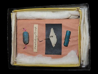 Flint Point and Beads from Egypt