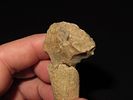 Bone Hafted Implement, Neolithic Period, North Africa, Ex. J. Weston SmithImage - 6