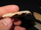 Lot of All Types of North American Points, Midwest Points, Ex. J. Weston SmithImage - 4