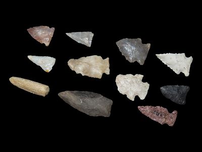 Lot of All Types of North American Points, Info Cards Included, Midwest Points