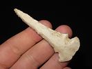 2 7/8” Dovetail Drill, Found in Doniphan Co., Kansas, Ex. J. Weston SmithImage - 1