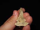 2 7/8” Dovetail Drill, Found in Doniphan Co., Kansas, Ex. J. Weston SmithImage - 3