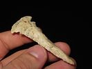 2 7/8” Dovetail Drill, Found in Doniphan Co., Kansas, Ex. J. Weston SmithImage - 10