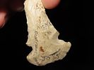 2 7/8” Dovetail Drill, Found in Doniphan Co., Kansas, Ex. J. Weston SmithImage - 11