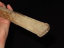 13 1/8” Leg Bone Pick, Bering Strait, Alaska, Ex. J. Weston SmithImage - 4