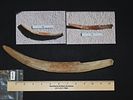 13 1/8” Leg Bone Pick, Bering Strait, Alaska, Ex. J. Weston SmithImage - 6