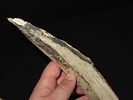9 5/8” Longest of Two Tools, Bering Strait, Alaska, Ex. J. Weston SmithImage - 7