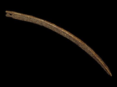 7 1/8” Eskimo Fleshing Tool, Point Barrow, Alaska