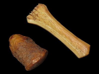 Eskimo Ivory Seal Plug and Ivory Women’s Comb, St. Michael, Cape Romanzof, Alaska
