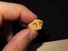 Drilled Teeth, Eskimo, Teller, Alaska, Ex. J. Weston SmithImage - 1