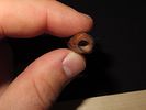 Drilled Teeth, Eskimo, Teller, Alaska, Ex. J. Weston SmithImage - 2