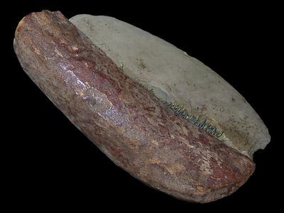 3 7/8” Eskimo Ulu Knife from Bering Strait, Alaska