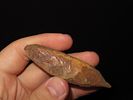 Lot of 4 Artifacts/Tools, Eskimo, Bering Sea, Alaska, Ex. J. Weston SmithImage - 5