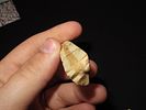 Eskimo Lot of Two Artifacts/Tool, Bering Sea, Alaska, Ex. J. Weston SmithImage - 8