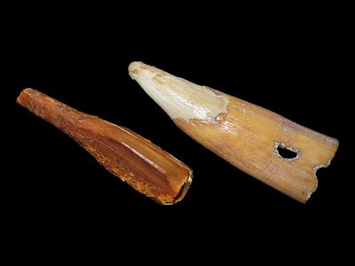 Eskimo Sewing Awl and Ornament, Bering Sea, Alaska