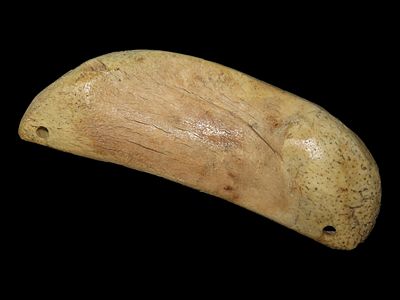 5 1/4” Eskimo Walrus Jaw Net Sinker, Bering Sea, Alaska