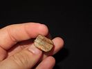 Eskimo Atlatl Finger Rest and Bone Armor Slot, Bering Sea, Alaska, Ex. J. Weston SmithImage - 6
