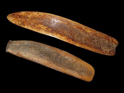 Lot of Two Bone Wedges, Bering Sea, Alaska