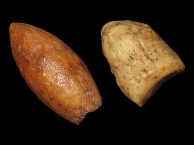 Lot of 2 Eskimo Artifacts, One Plug and One Bone Arrowhead from Bering Sea, Alaska