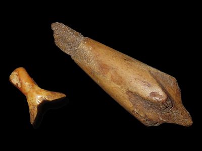 Eskimo Finger Rest for Harpoon and Bone Arrowhead, Bering Sea, Alaska