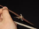 Eskimo Metal Harpoon and Shaft, Bering Sea, Alaska, Ex. J. Weston SmithImage - 2