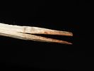 Eskimo Metal Harpoon and Shaft, Bering Sea, Alaska, Ex. J. Weston SmithImage - 4