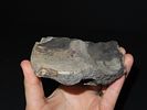 Eskimo Lot of Artifacts/Tools from Bering Sea, Alaska, Ex. J. Weston SmithImage - 2