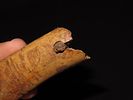 Eskimo Lot of Artifacts/Tools from Bering Sea, Alaska, Ex. J. Weston SmithImage - 6