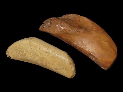 Eskimo Lot of 2 Artifacts and Tool, One Knife Handle, Bering Sea, Alaska, Ex. J. Weston Smith