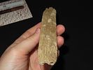 Eskimo Lot of Two Artifacts/Tool, Bering Sea, Alaska, Ex. J. Weston SmithImage - 3