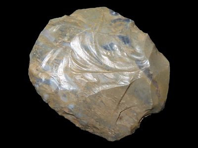 1 7/8" Sundisc, Tupelo, Arkansas, Found by John Middlebrook