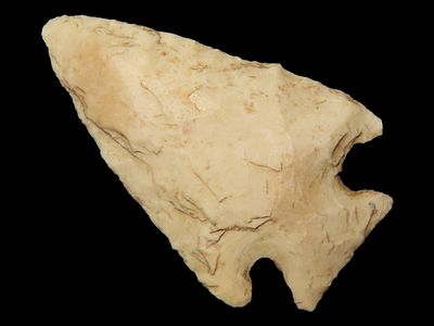 1 13/16" Apple Creek, Tupelo, Arkansas, Found by John Middlebrook