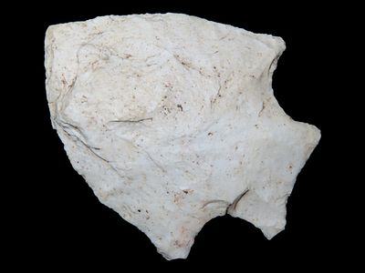 2 1/4" Savannah River, Tupelo, Arkansas, Found by John Middlebrook