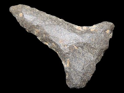 1 3/8" Drill, Tupelo, Arkansas, Found by John Middlebrook
