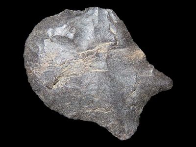 1 1/2" Pelican, Tupelo, Arkansas, Found by John Middlebrook