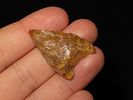 1 5/8" Cortaro Concave, New MexicoImage - 1