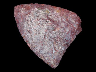2 1/8" Tortugas, Purple Flint, New Mexico